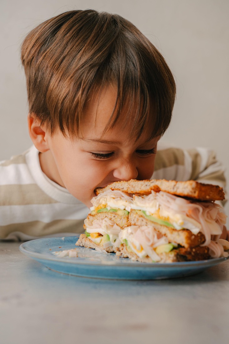 Sándwich XXL saludable con aguacate, pavo y queso — GULA Palma